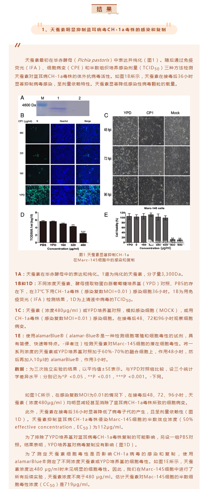 天蠶素抗菌肽抑制豬藍耳病毒的研究_02