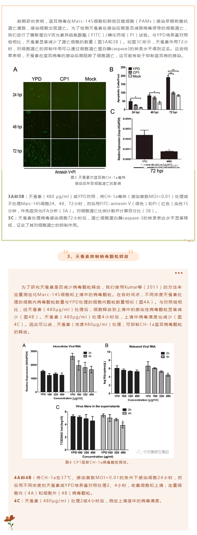 天蠶素抗菌肽抑制豬藍耳病毒的研究_04