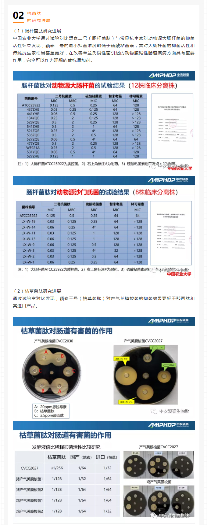 中農穎泰-助力2021年云南省飼料工業協會第七屆五次理事會暨技術交流會_02