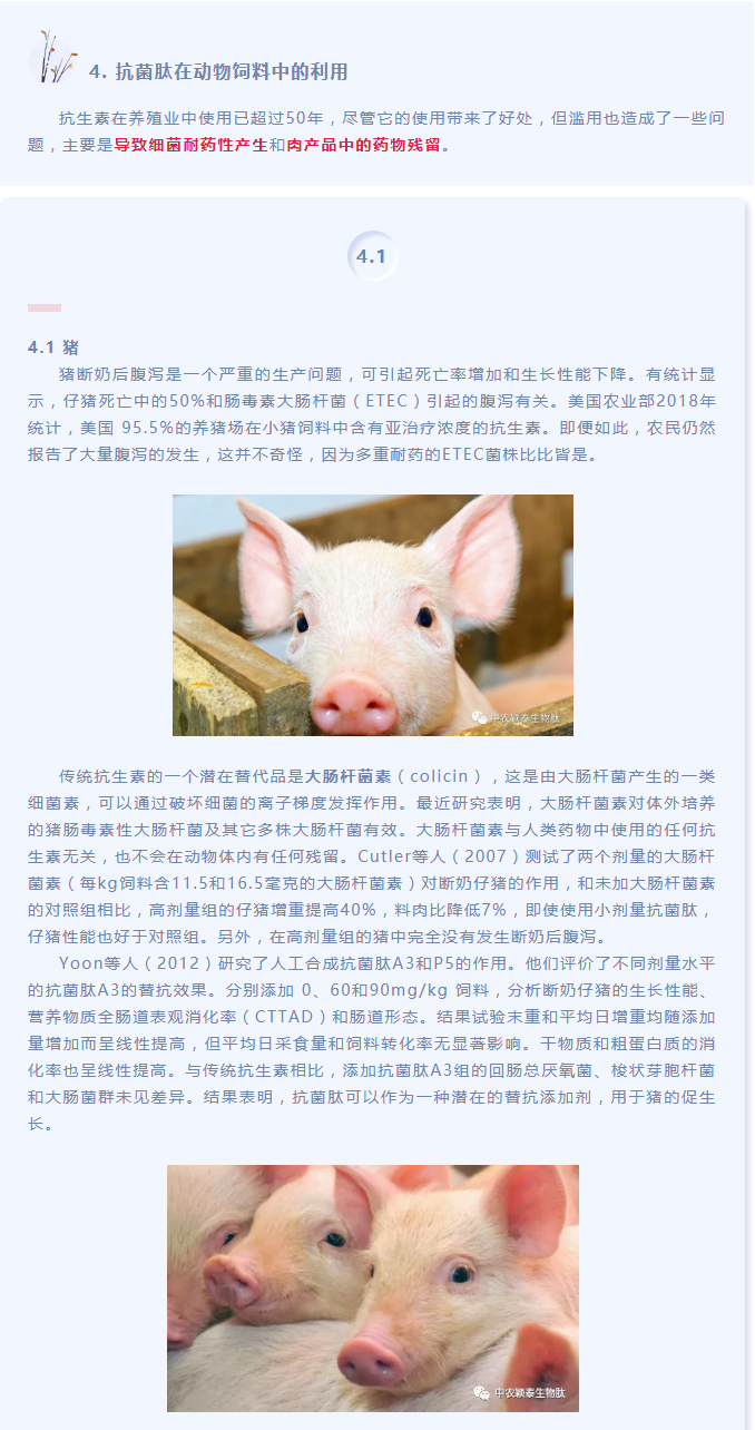 抗菌肽作為替抗飼料添加劑對動物生產(chǎn)、食品安全和公共衛(wèi)生影響的綜述（下）_01