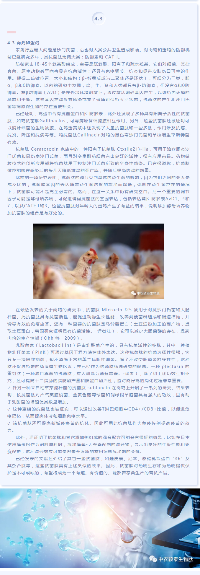 抗菌肽作為替抗飼料添加劑對動物生產(chǎn)、食品安全和公共衛(wèi)生影響的綜述（下）_03