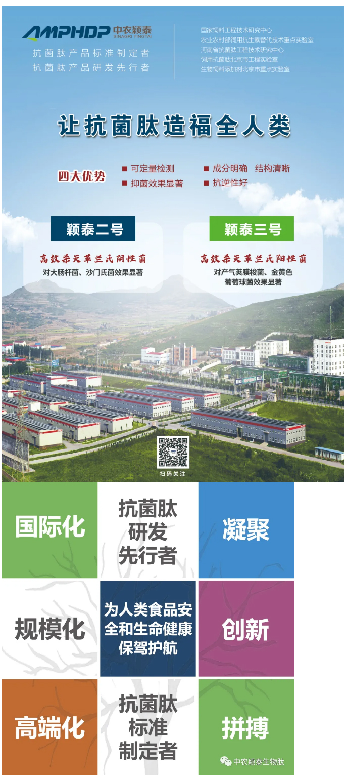 抓住歷史機遇-契合政策導向-再創穎泰輝煌--中農穎泰添加劑2022年銷售動員大會召開_04