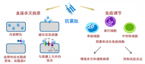 泰倍健——新型免疫增強劑，構建核心抗病力